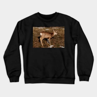 Doe Crewneck Sweatshirt